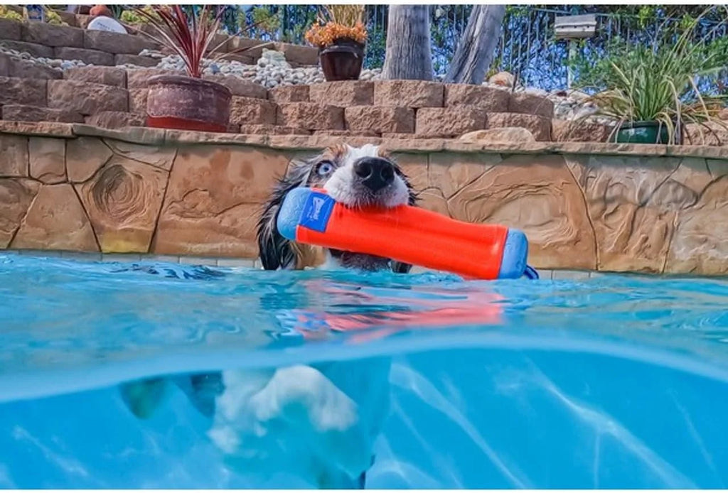 Amphibious Floating Fetch Dog Stick