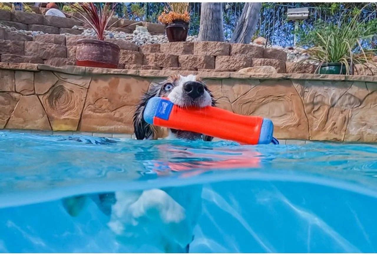Amphibious Floating Fetch Dog Stick