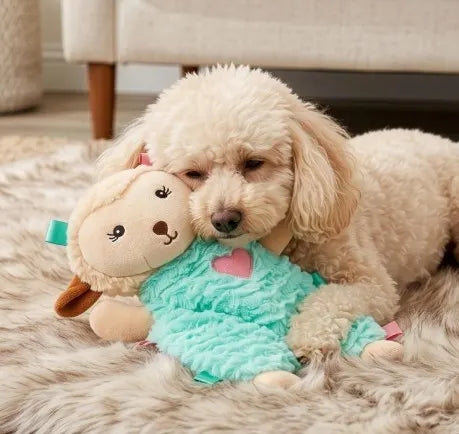 Calming Lamb Plush Dog Toy