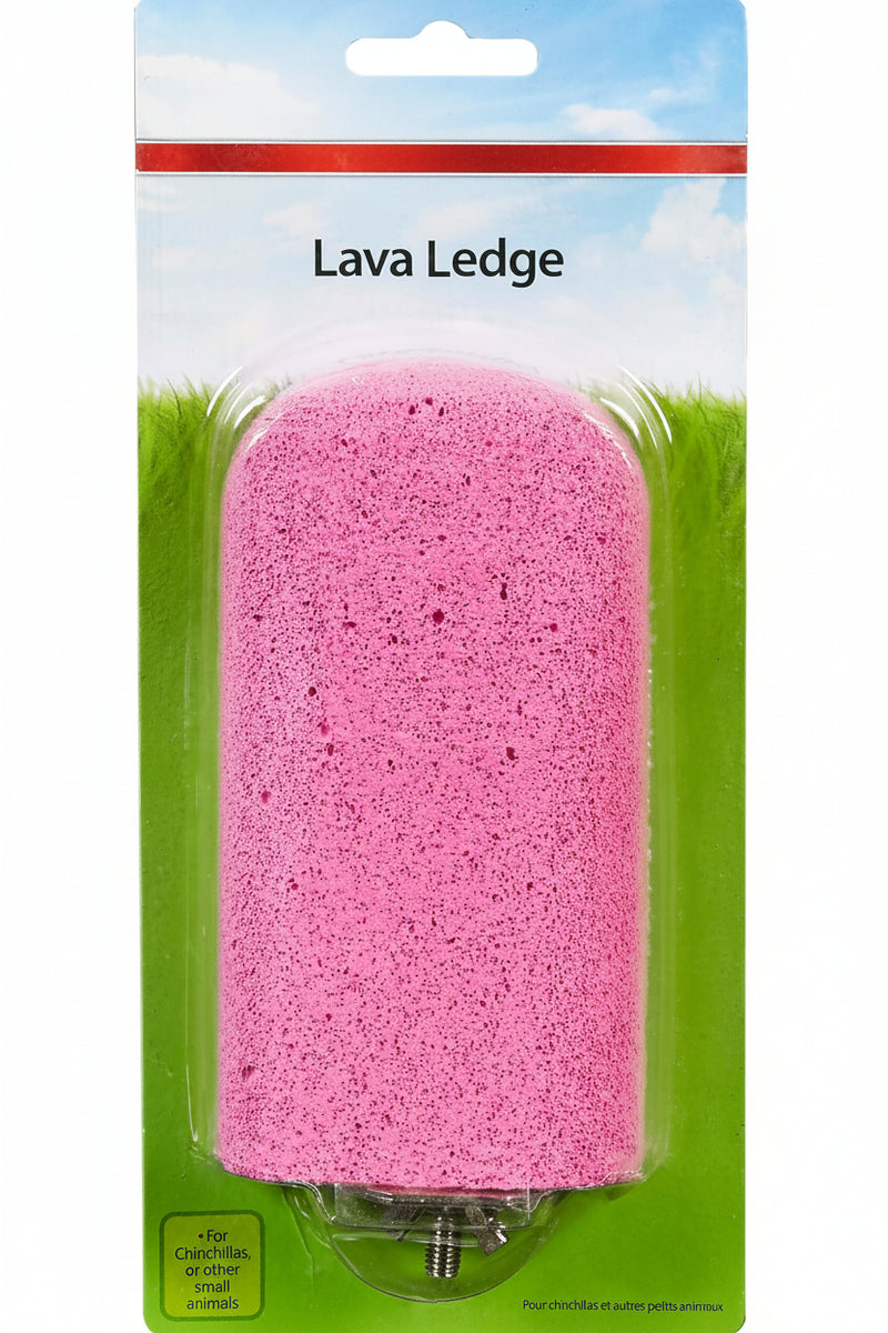 Natural Lava Rock Ledge for Small Pets