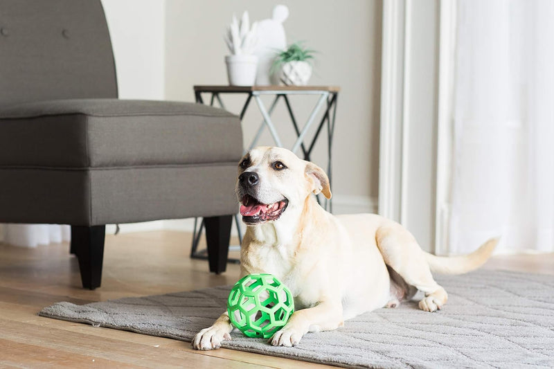Natural Rubber Dog Puzzle Ball