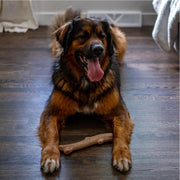Natural Wood Dog Chew Stick – Large 11"