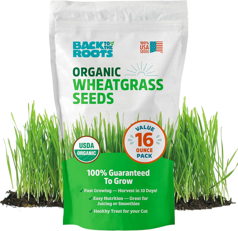 Organic Wheatgrass Seeds