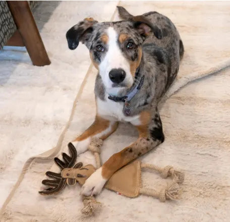 Leather Forest Animal Dog Toy