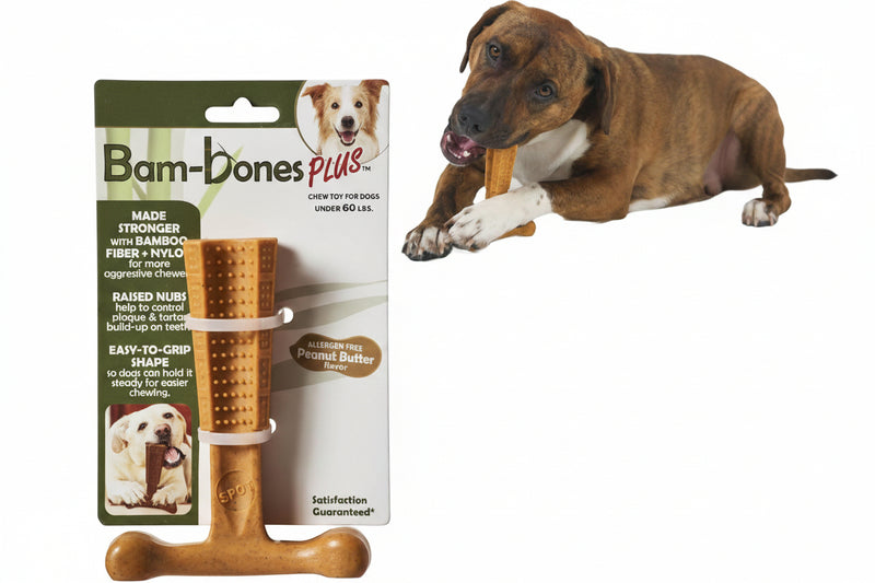 Peanut Butter Flavor T-Bone Dog Chew Toy – Medium