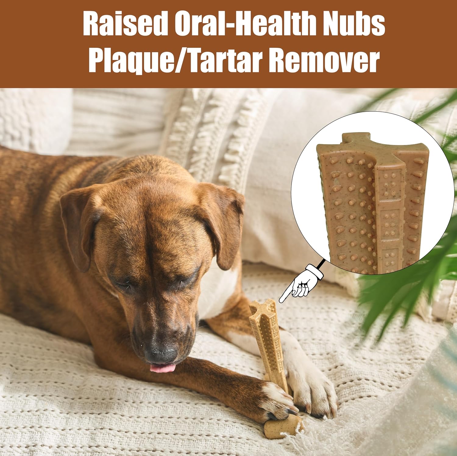 Peanut Butter Flavor T-Bone Dog Chew Toy – Medium