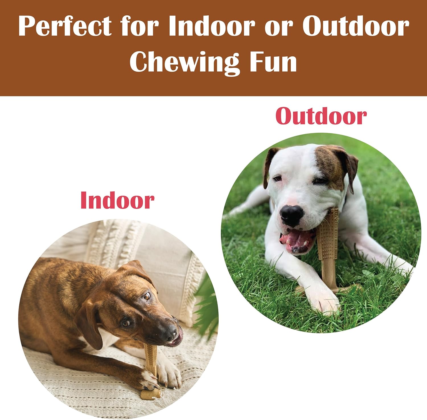 Peanut Butter Flavor T-Bone Dog Chew Toy – Medium