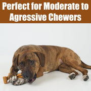 Peanut Butter Flavor T-Bone Dog Chew Toy – Medium