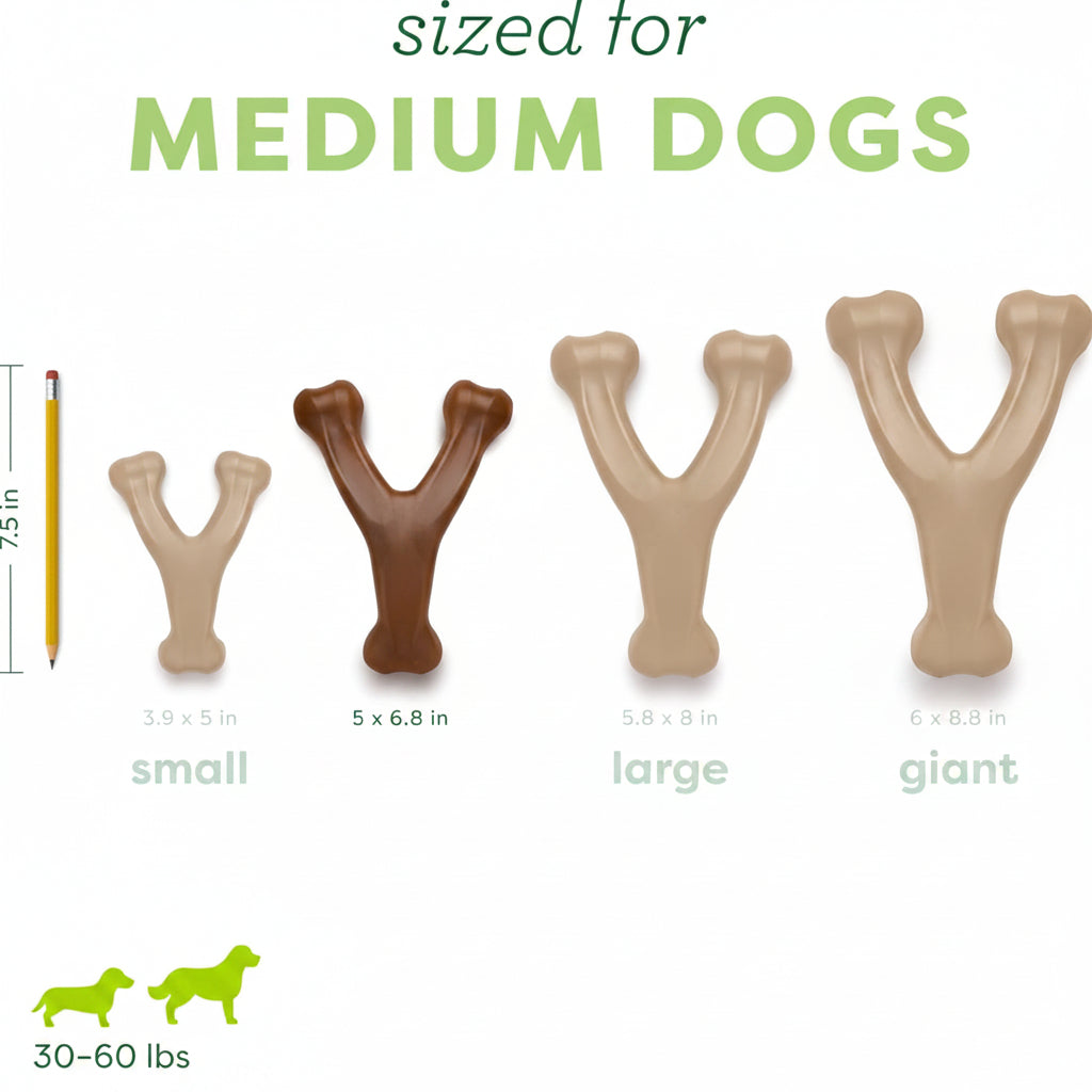 Peanut Butter Flavor Wishbone Dog Chew Toy