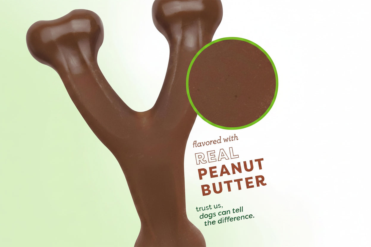 Peanut Butter Flavor Wishbone Dog Chew Toy – Large