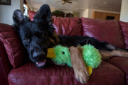 Plush Duck Squeaky Dog Toy