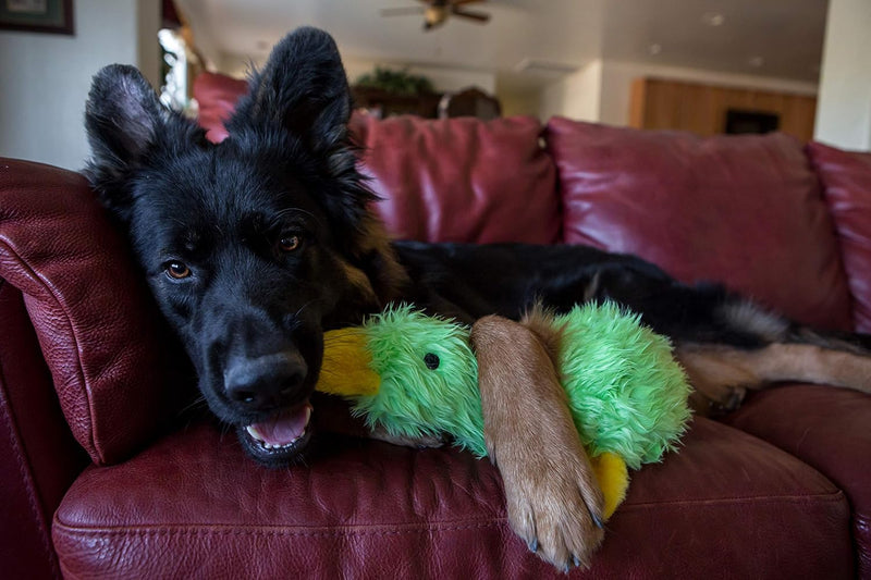 Plush Duck Squeaky Dog Toy
