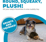 Plush Hedgehog Squeaky Dog Toy