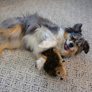 Plush Hedgehog Squeaky Dog Toy