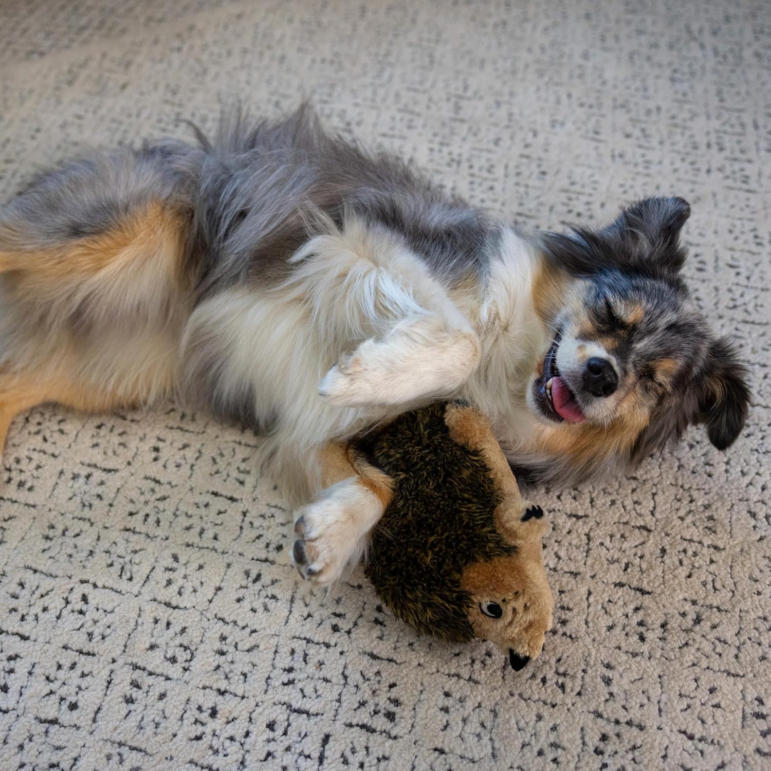 Plush Hedgehog Squeaky Dog Toy