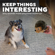 Plush Hedgehog Squeaky Dog Toy