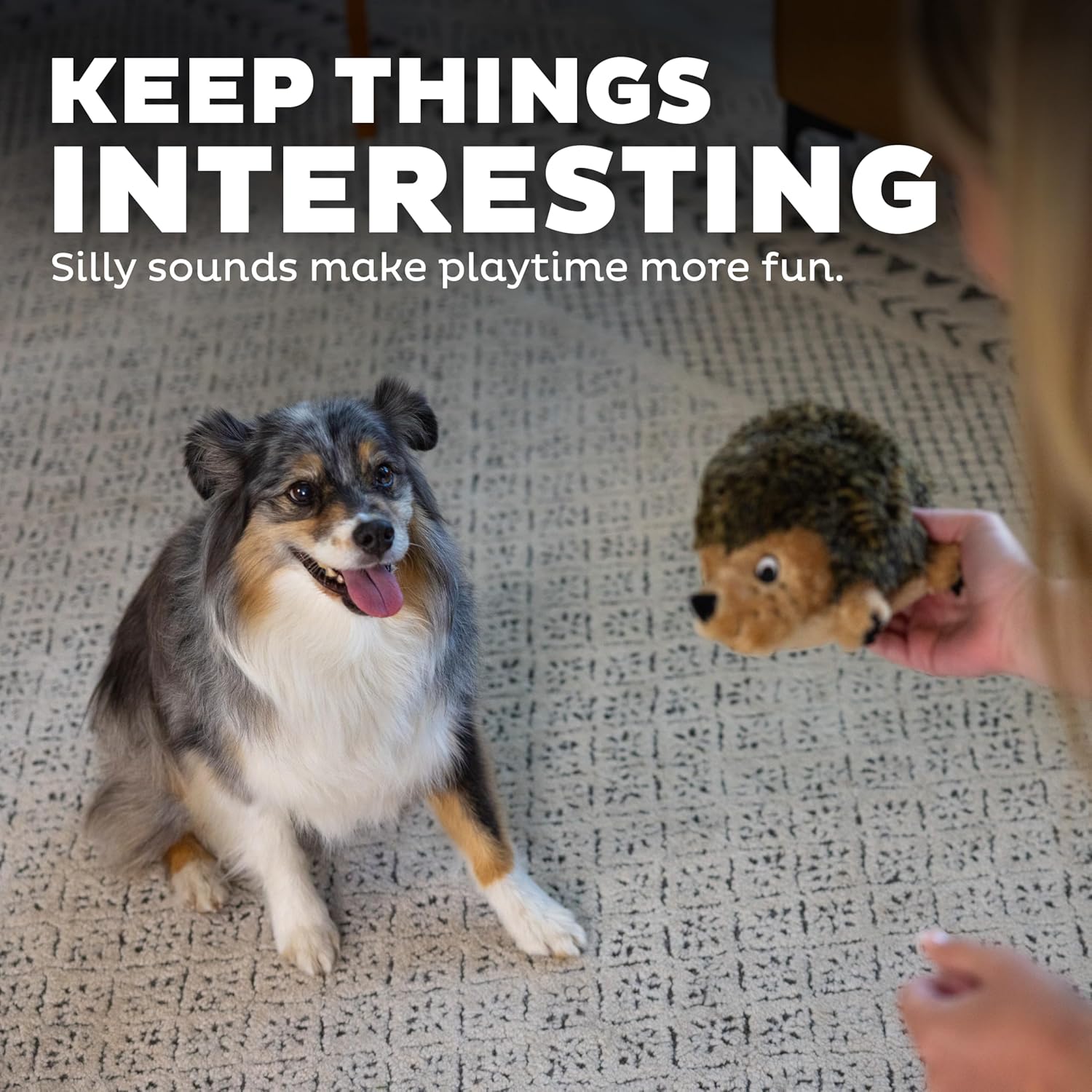 Plush Hedgehog Squeaky Dog Toy