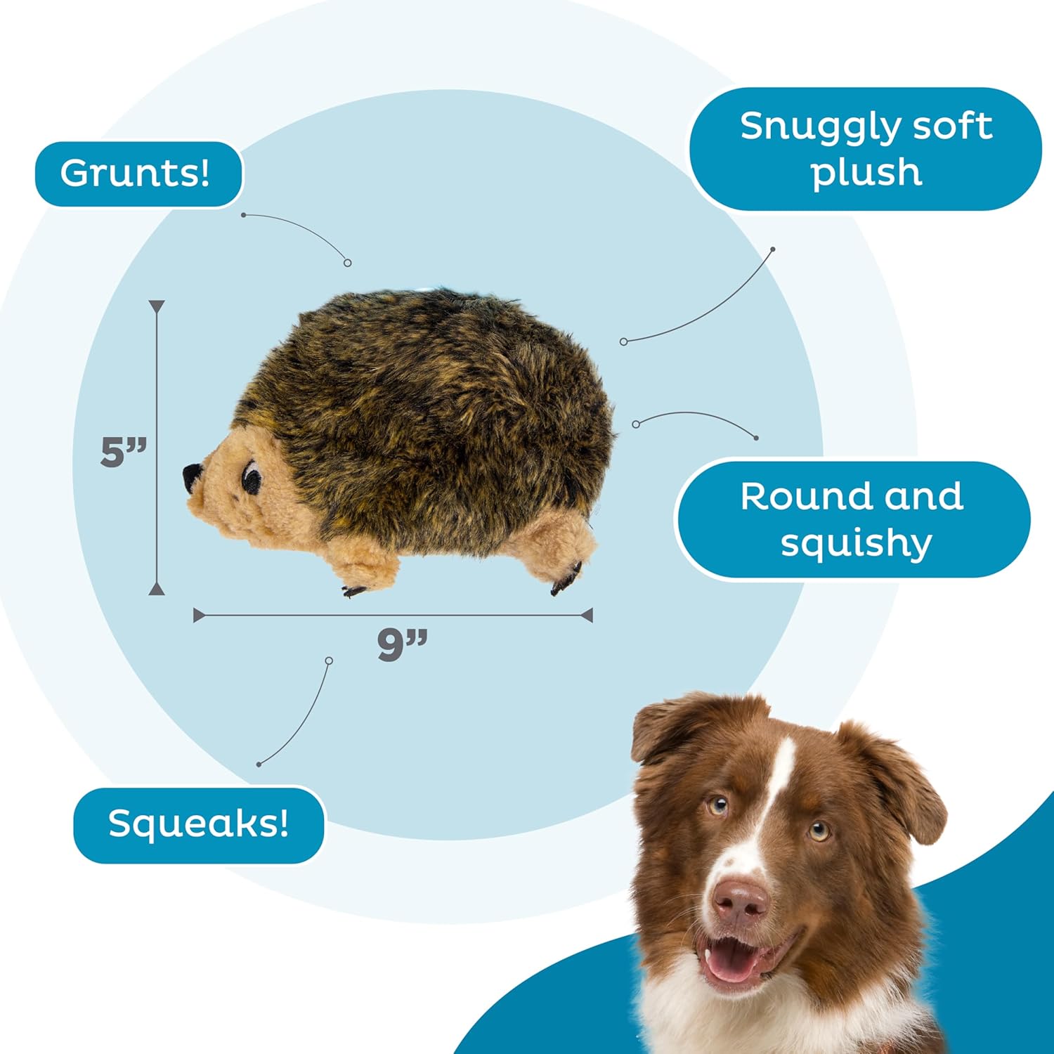 Plush Hedgehog Squeaky Dog Toy