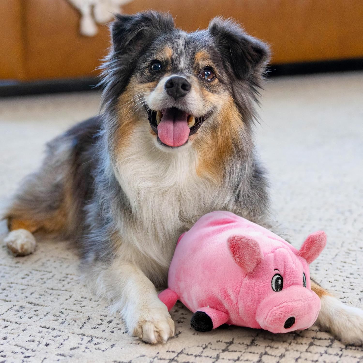 Plush Pig Squeaky Dog Toy