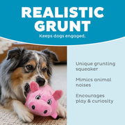 Plush Pig Squeaky Dog Toy