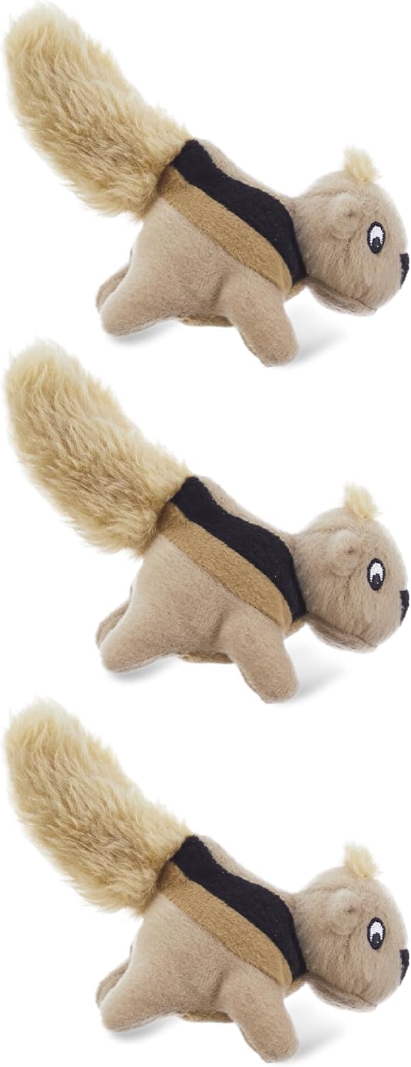 Plush Squeaky Squirrel Toy Pack