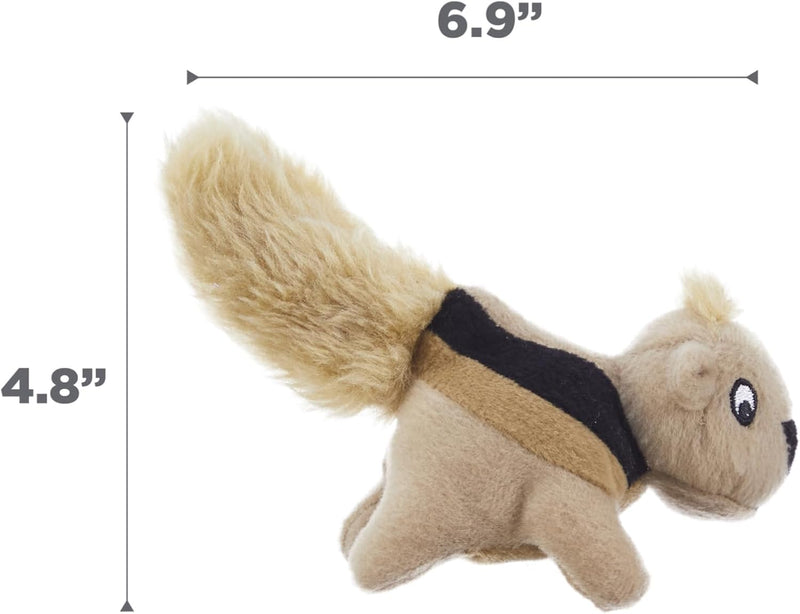 Plush Squeaky Squirrel Toy Pack