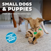 Plush Squeaky Squirrel Toy Pack