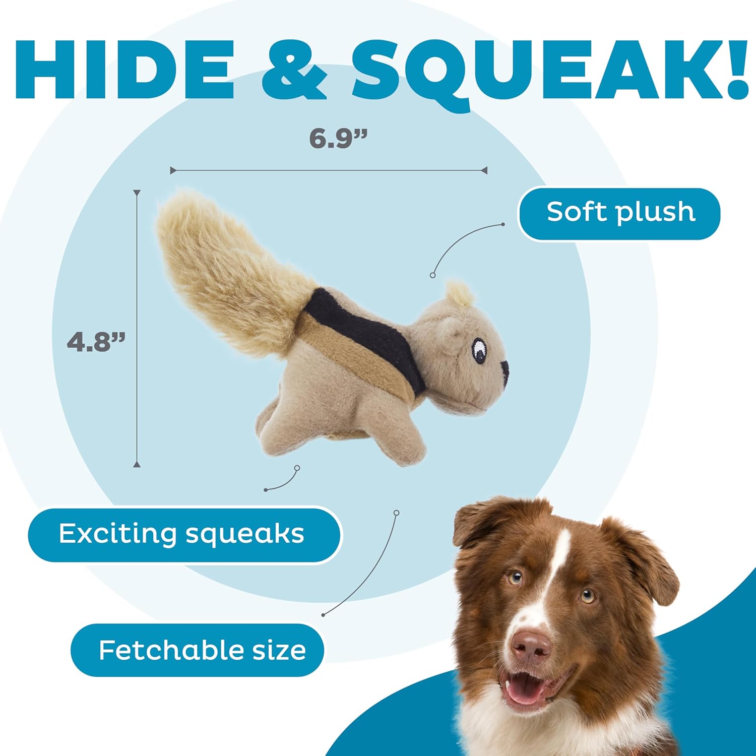 Plush Squeaky Squirrel Toy Pack