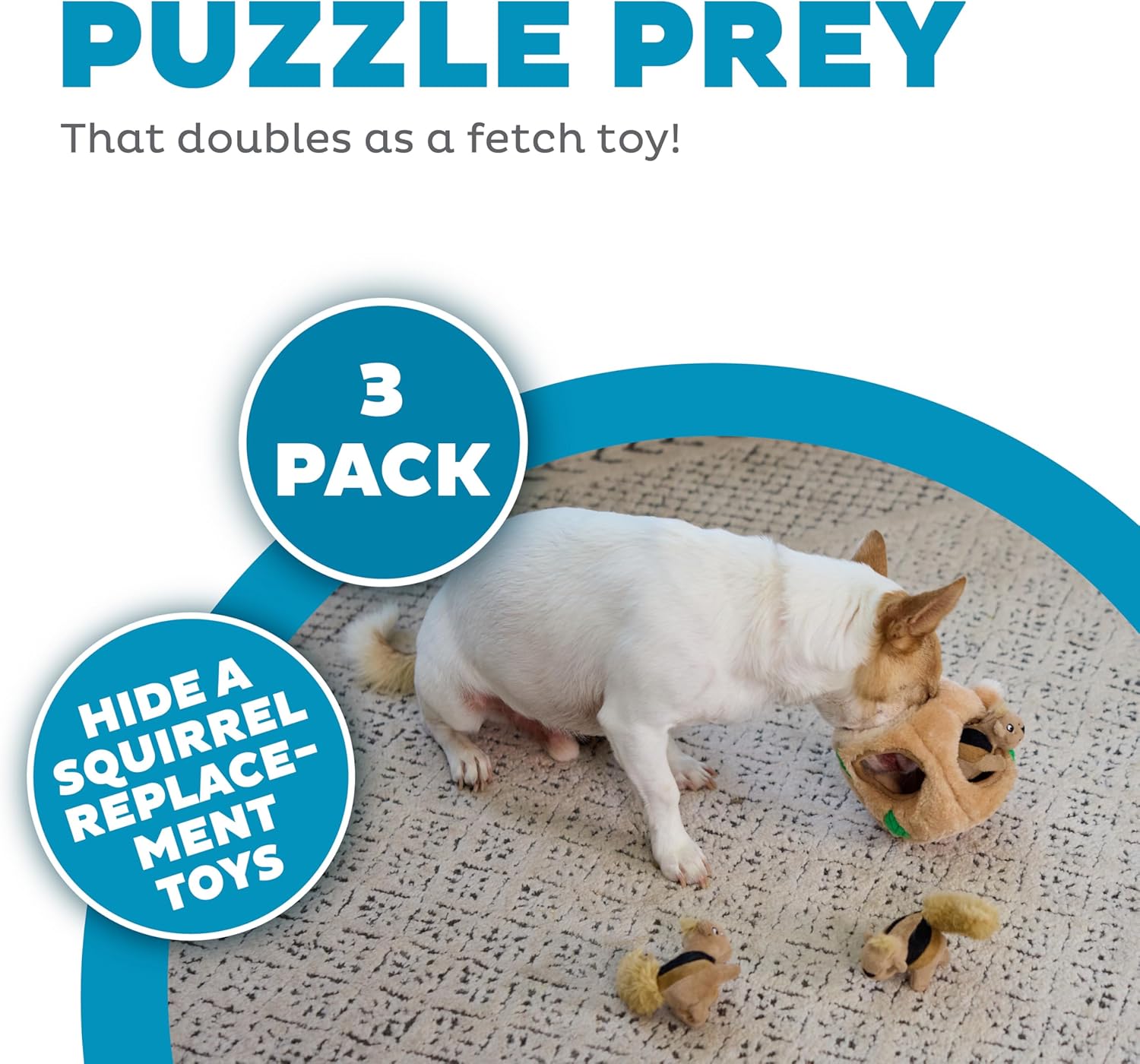 Plush Squeaky Squirrel Toy Pack