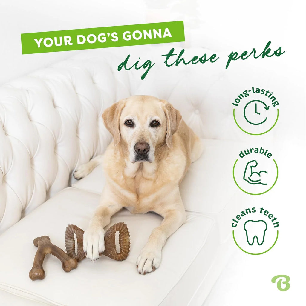Durable Bacon Flavor Dog Chew Set