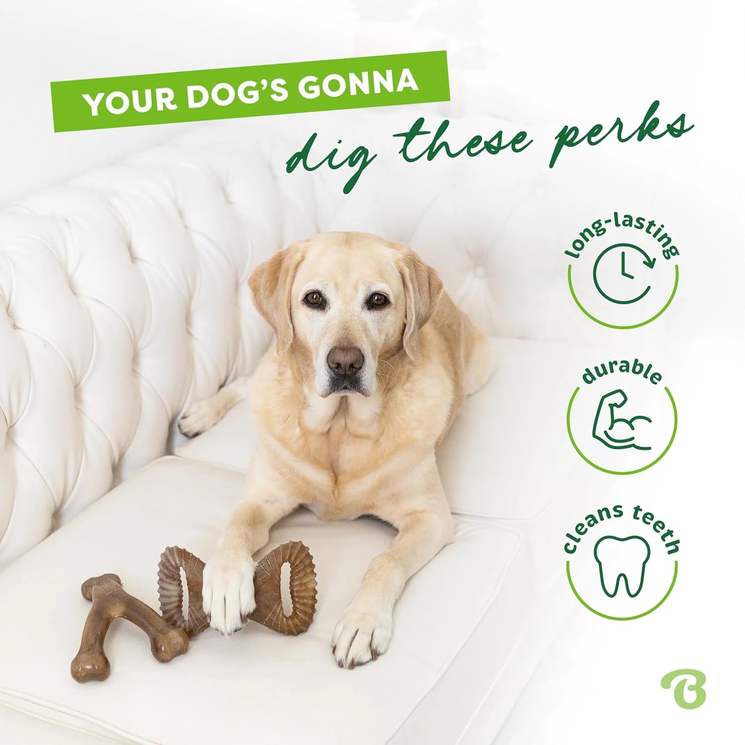 Durable Bacon Flavor Dog Chew Set