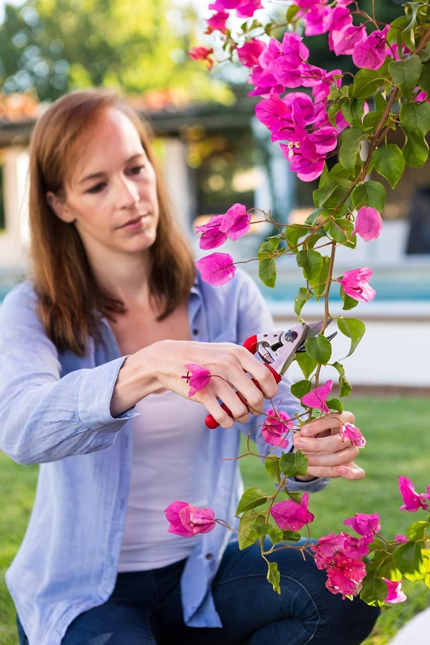 Premium Bypass Pruning Shears