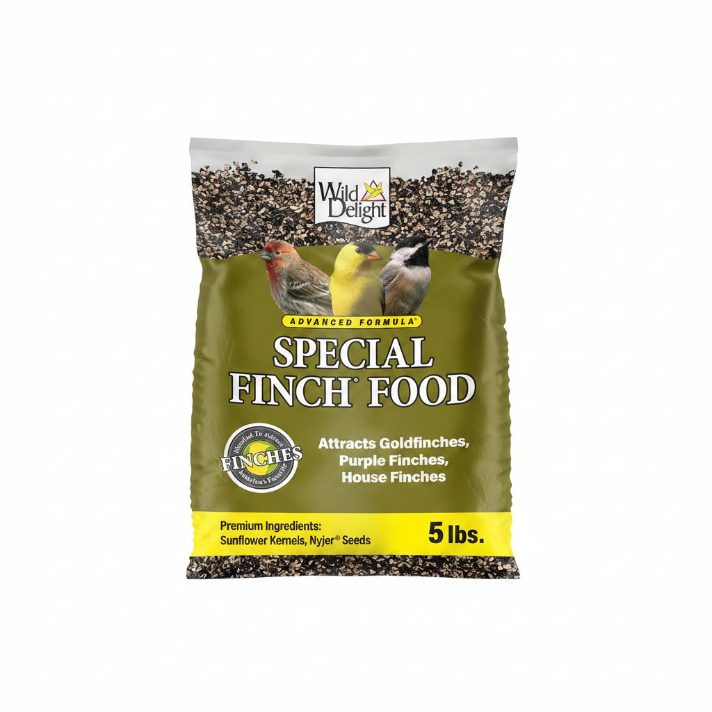 Premium Finch Bird Seed