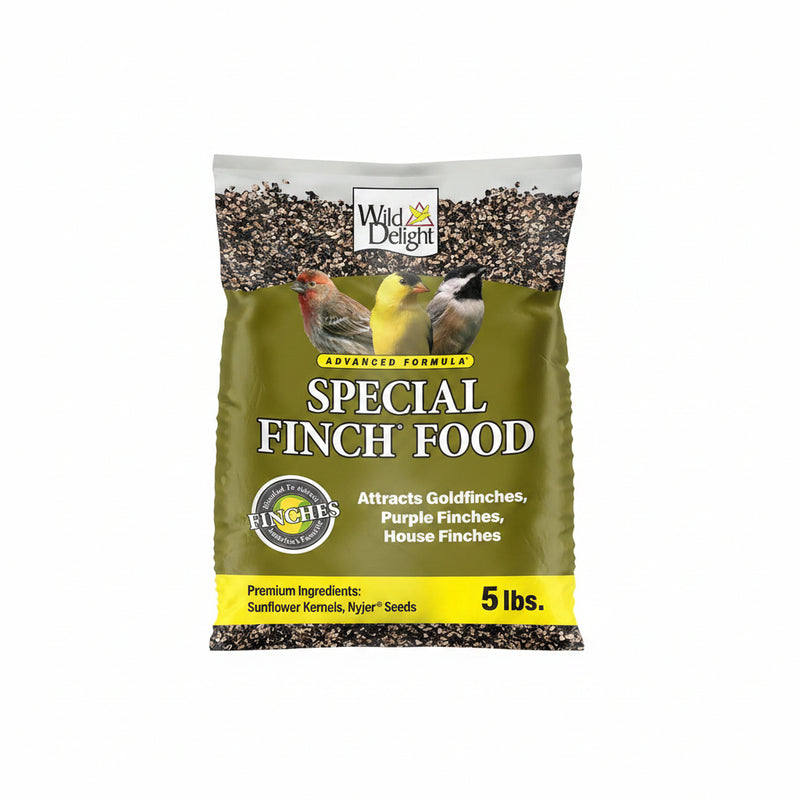 Premium Finch Bird Seed