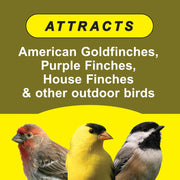 Premium Finch Bird Seed
