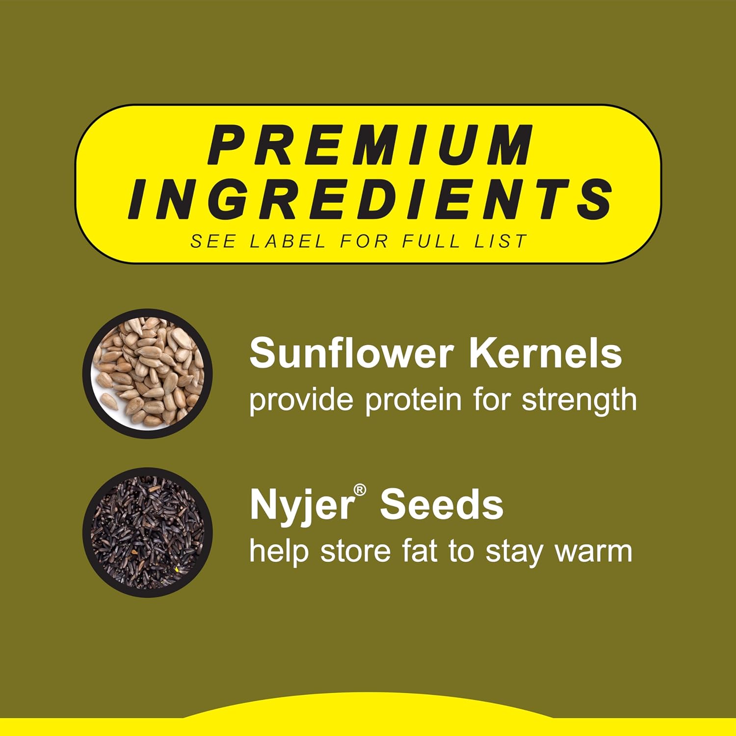 Premium Finch Bird Seed