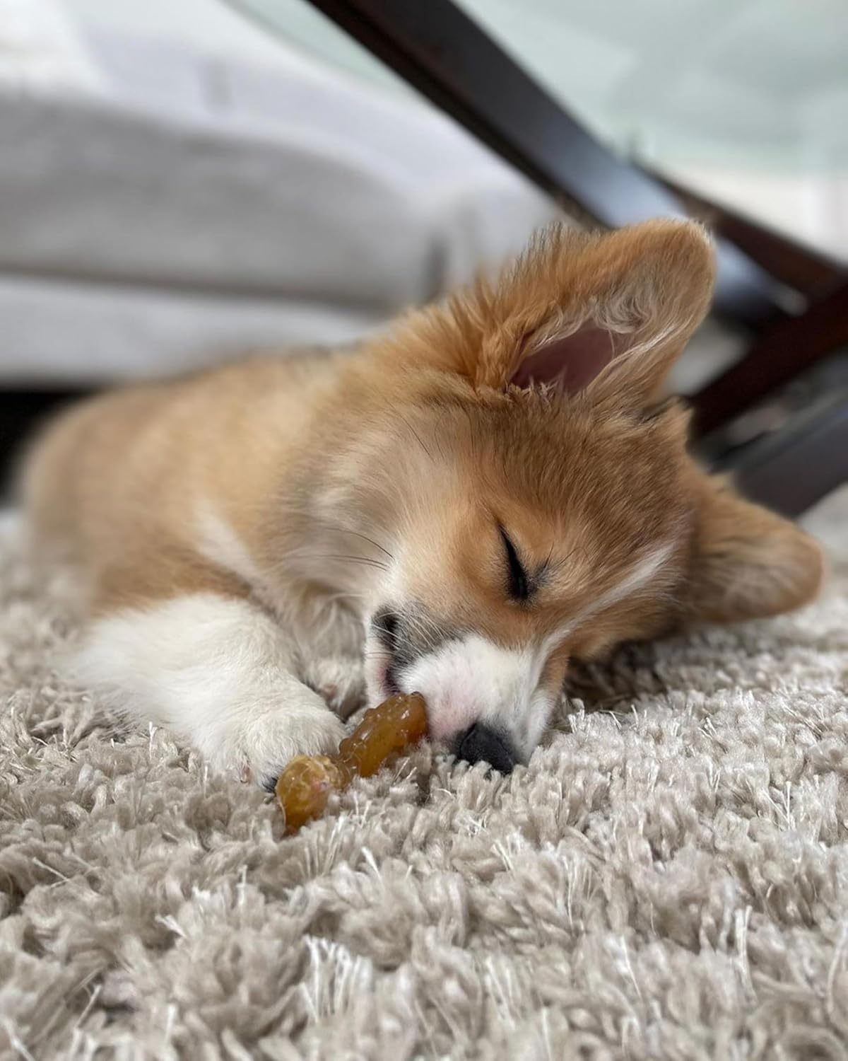 Puppy Chicken Flavor Chew Ring