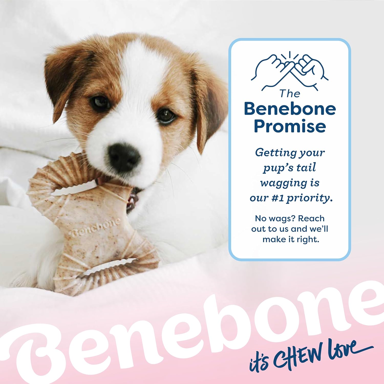 Puppy Dental Chew Toy Pack