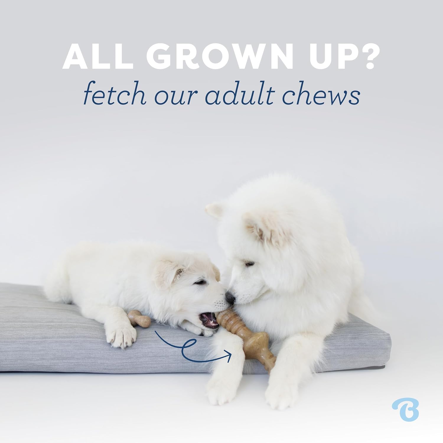 Puppy Dental Chew Toy Pack