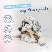 Puppy Dental Chew Toy Pack