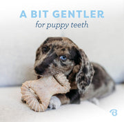Puppy Dental Chew Toy Pack