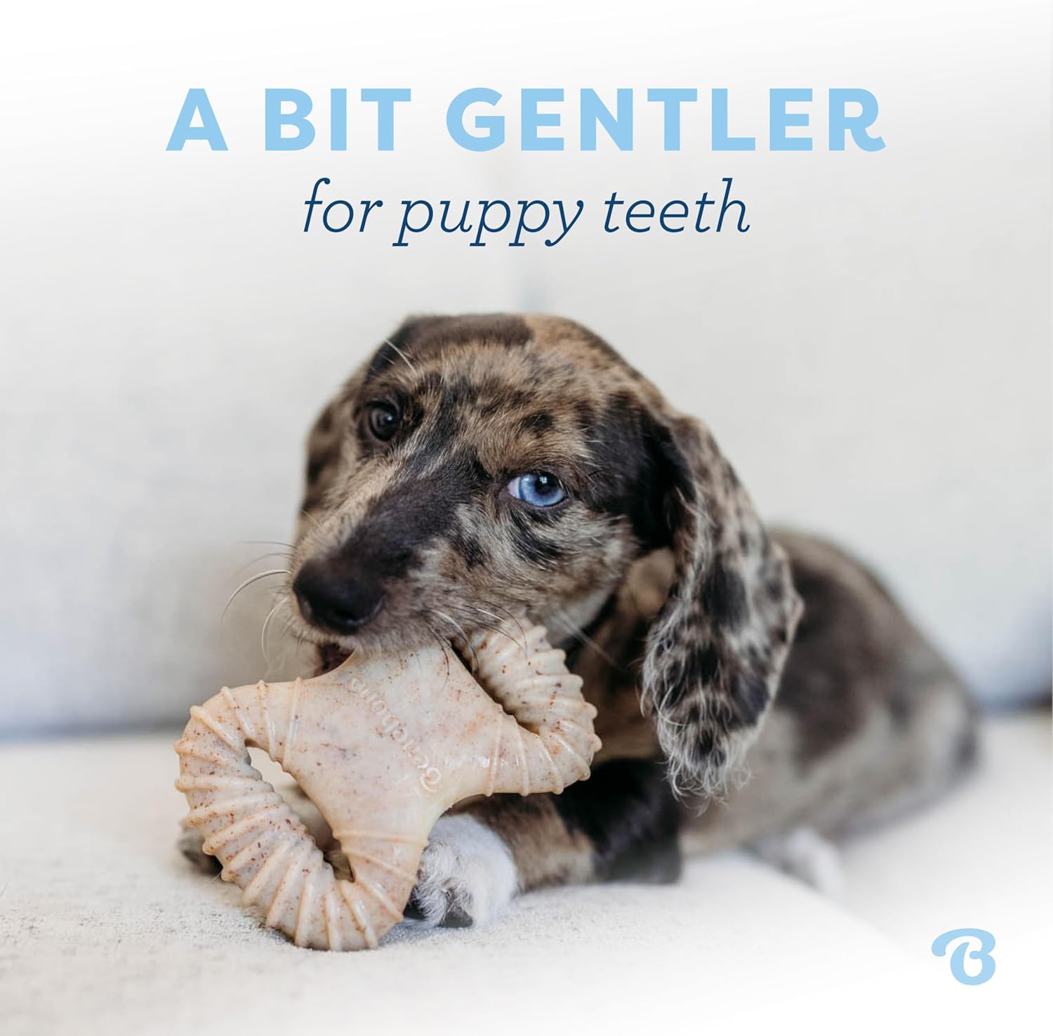Puppy Dental Chew Toy Pack