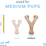 Puppy Wishbone Dog Chew Toy (Medium)