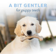 Puppy Wishbone Dog Chew Toy (Medium)