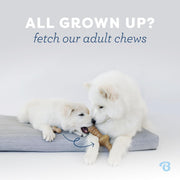 Puppy Wishbone Dog Chew Toy (Medium)