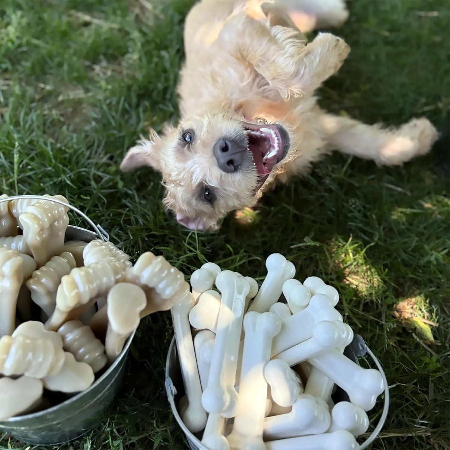 Original Flavor Dog Chew Bone Set (2 Pack)