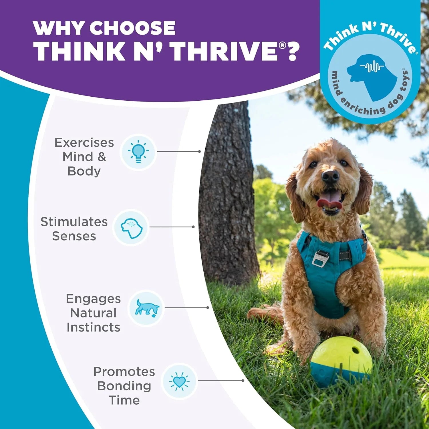 Dog Enrichment Puzzle Ball