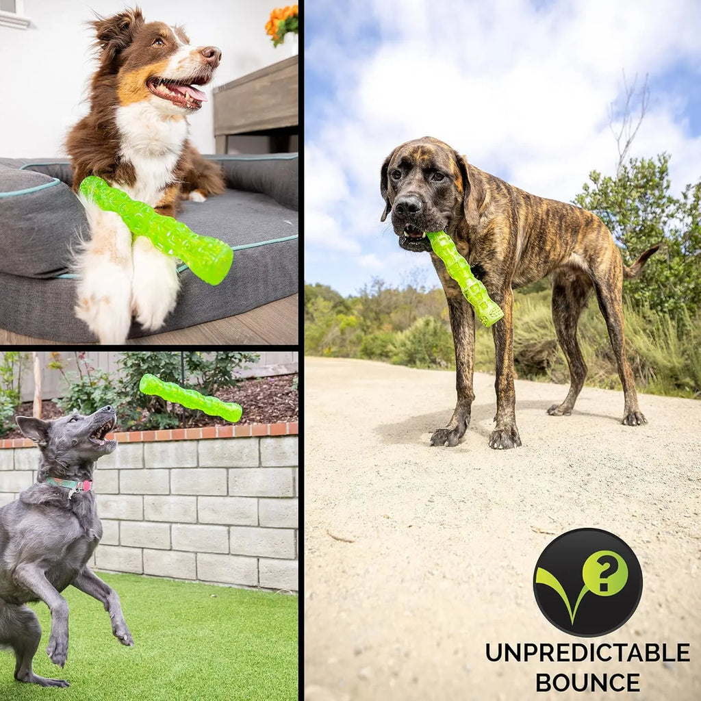 Dura-Squeaks Stick Squeaky Dog Toy