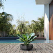Round Stone Planter