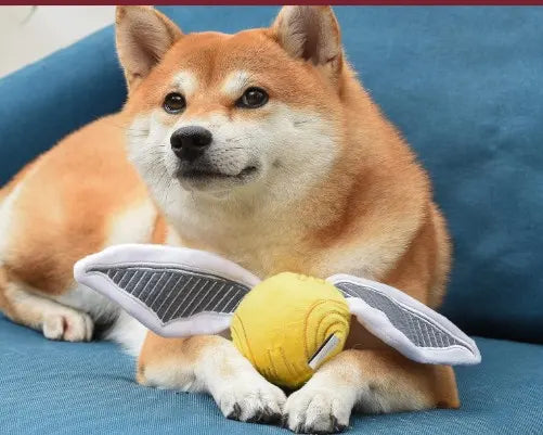 Magic Squeaky Ball Dog Toy